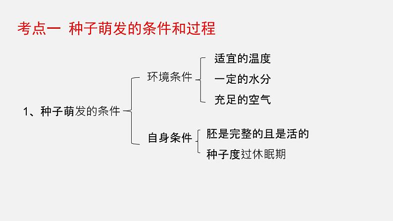 专题05 被子植物的一生（课件）-2022年中考生物一轮复习讲练测04