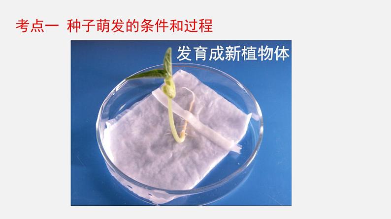 专题05 被子植物的一生（课件）-2022年中考生物一轮复习讲练测07