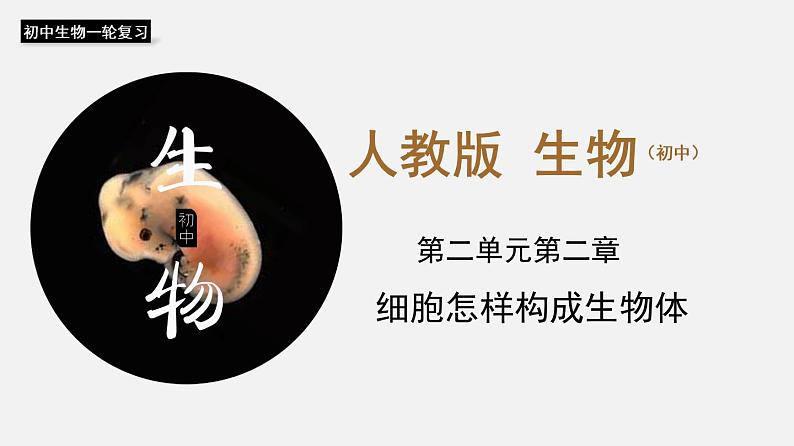 专题03 细胞怎样构成生物体（课件）--2022年中考生物一轮复习讲练测第1页