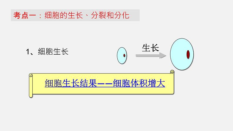 专题03 细胞怎样构成生物体（课件）--2022年中考生物一轮复习讲练测第4页