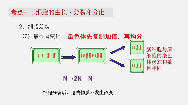 专题03 细胞怎样构成生物体（课件）--2022年中考生物一轮复习讲练测第6页