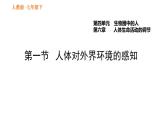 人教版七年级下册生物 第六章 4.6.1 人体对外界环境的感知 课件