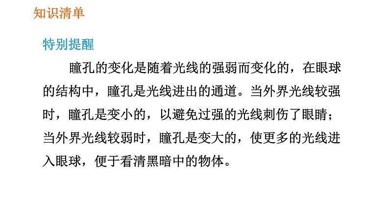 人教版七年级下册生物 第六章 4.6.1 人体对外界环境的感知 课件04