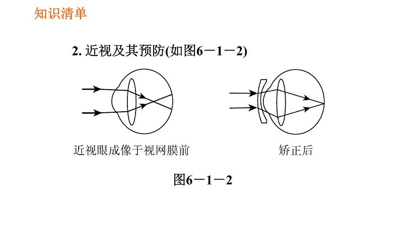 人教版七年级下册生物 第六章 4.6.1 人体对外界环境的感知 课件08