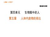 人教版七年级下册生物 期末部分 第五章 人体内废物的排出 课件