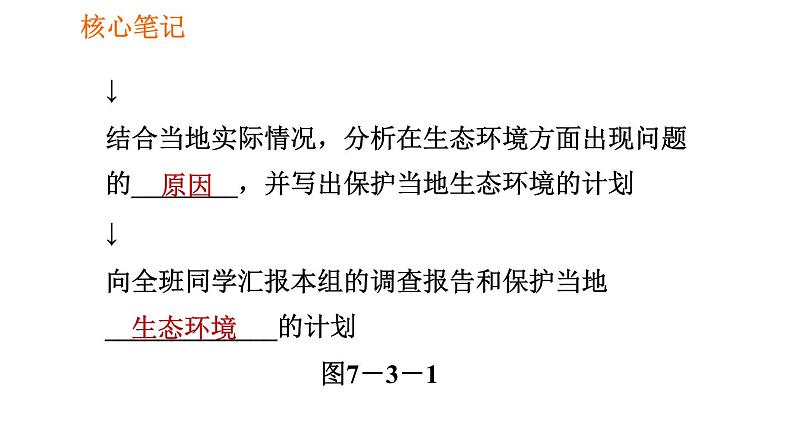 人教版七年级下册生物 第七章 4.7.3 拟定保护生态环境的计划 课件03