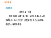 人教版七年级下册生物 第五章 4.5.1 人体内废物的排出 课件
