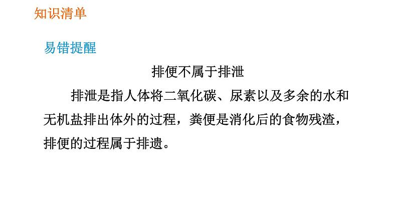 人教版七年级下册生物 第五章 4.5.1 人体内废物的排出 课件第3页