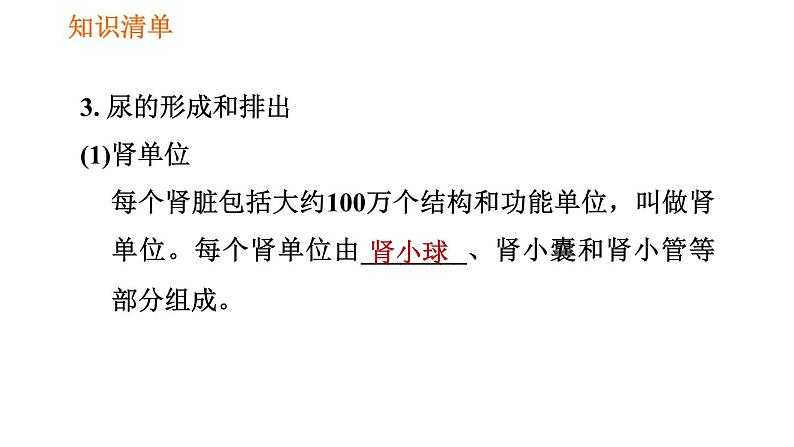 人教版七年级下册生物 第五章 4.5.1 人体内废物的排出 课件第5页