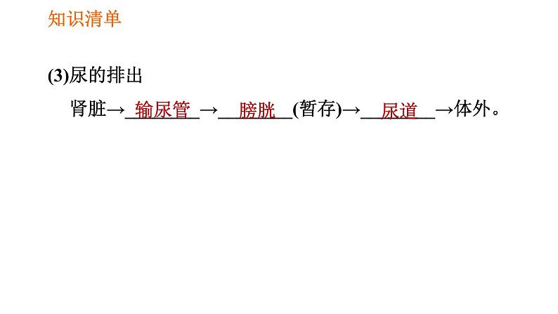 人教版七年级下册生物 第五章 4.5.1 人体内废物的排出 课件第8页