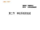 人教版七年级下册生物 第六章 4.6.2 神经系统的组成 课件