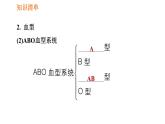 人教版七年级下册生物 第四章 4.4.4 输血与血型 课件