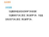 人教版七年级下册生物 第七章 4.7.2 探究环境污染对生物的影响 课件