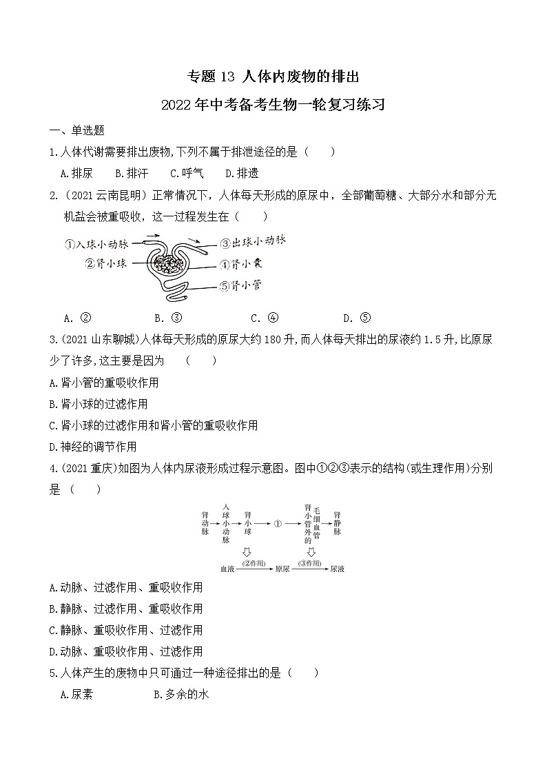 专题13 人体内废物的排出（练习）-2022年中考生物一轮复习讲练测（原卷版）第1页