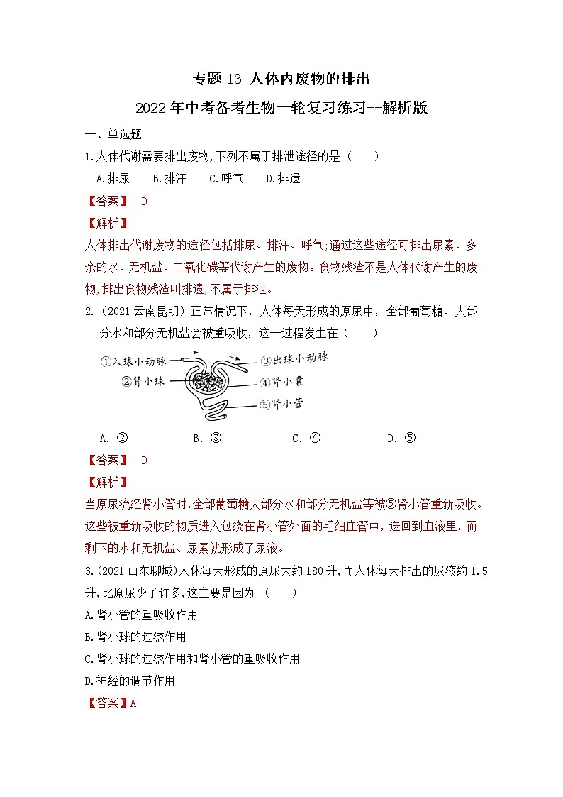 专题13 人体内废物的排出（练习）-2022年中考生物一轮复习讲练测（解析版）第1页