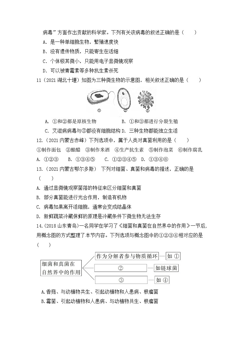 专题17 细菌、真菌和病毒（练习）-2022年中考生物一轮复习讲练测`03