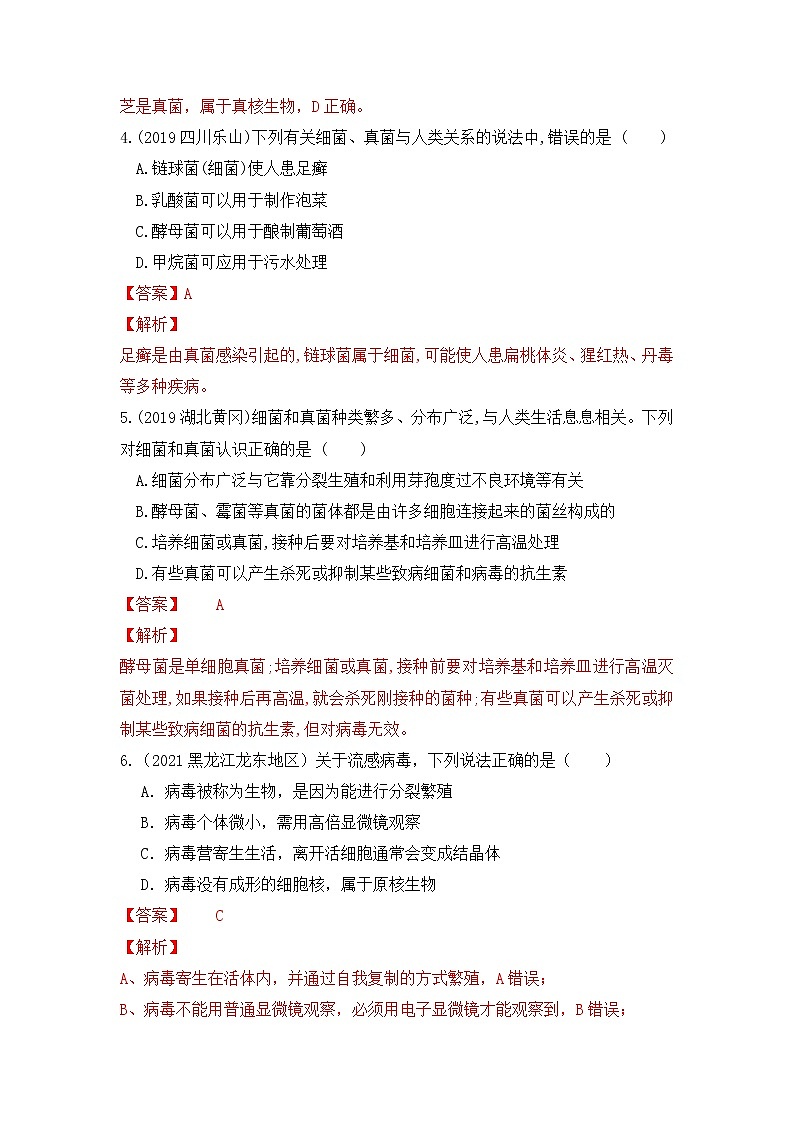 专题17 细菌、真菌和病毒（练习）-2022年中考生物一轮复习讲练测`02
