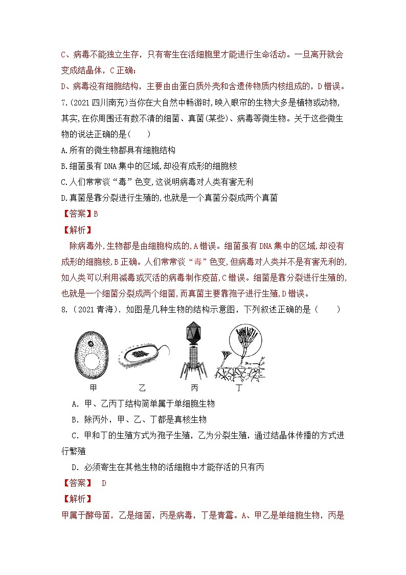 专题17 细菌、真菌和病毒（练习）-2022年中考生物一轮复习讲练测`03