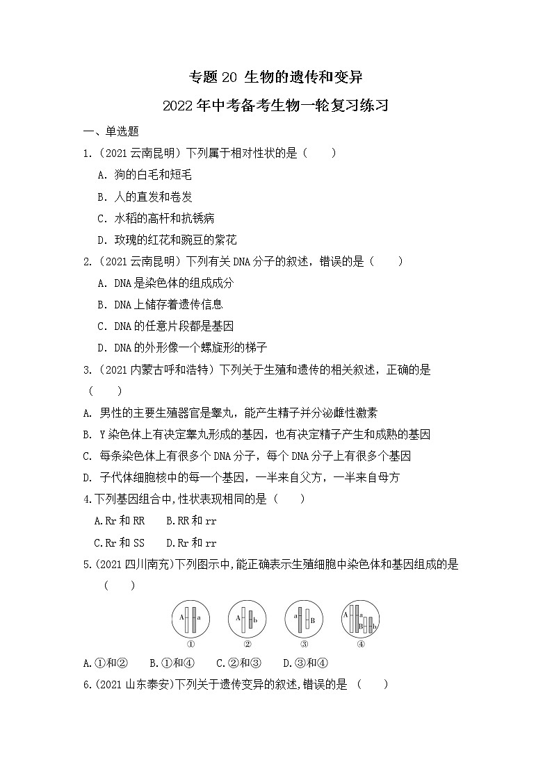 专题20 生物的遗传和变异（练习）-2022年中考生物一轮复习讲练测`01