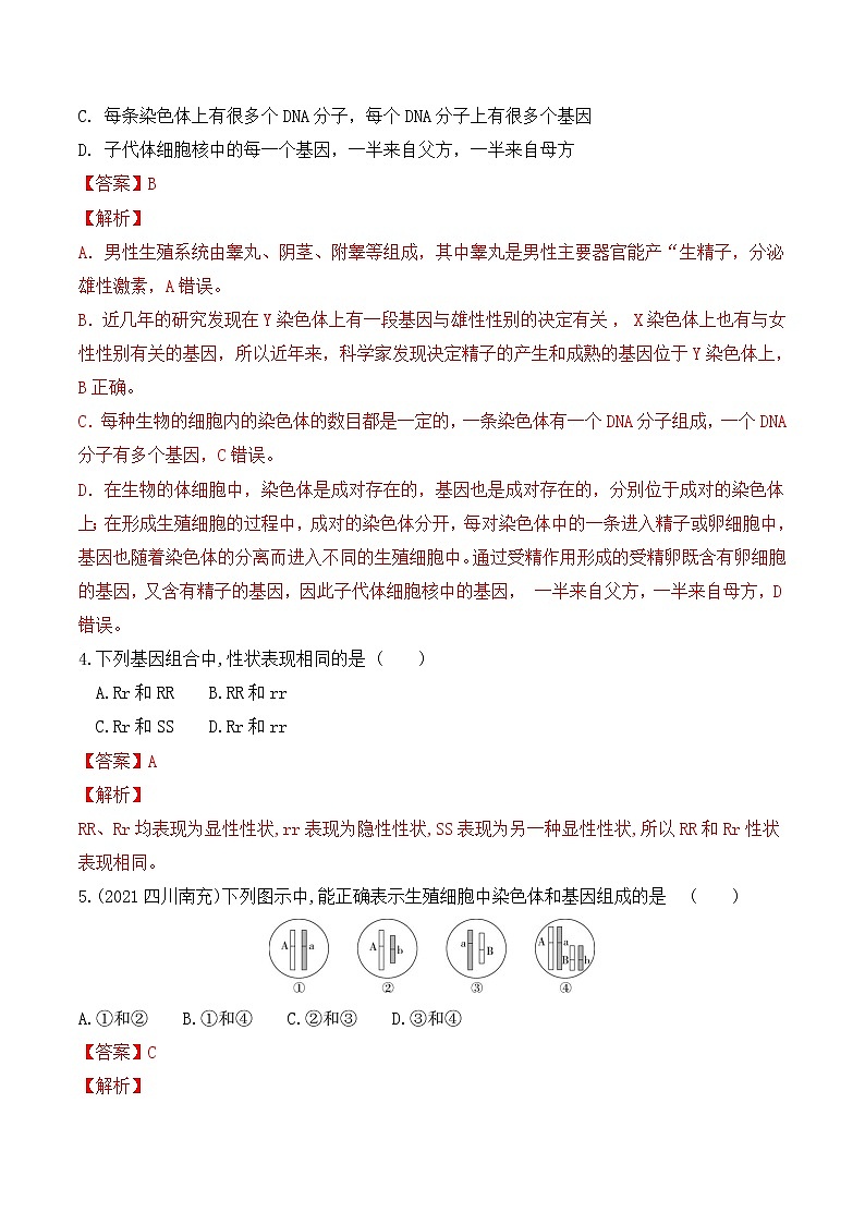 专题20 生物的遗传和变异（练习）-2022年中考生物一轮复习讲练测`02