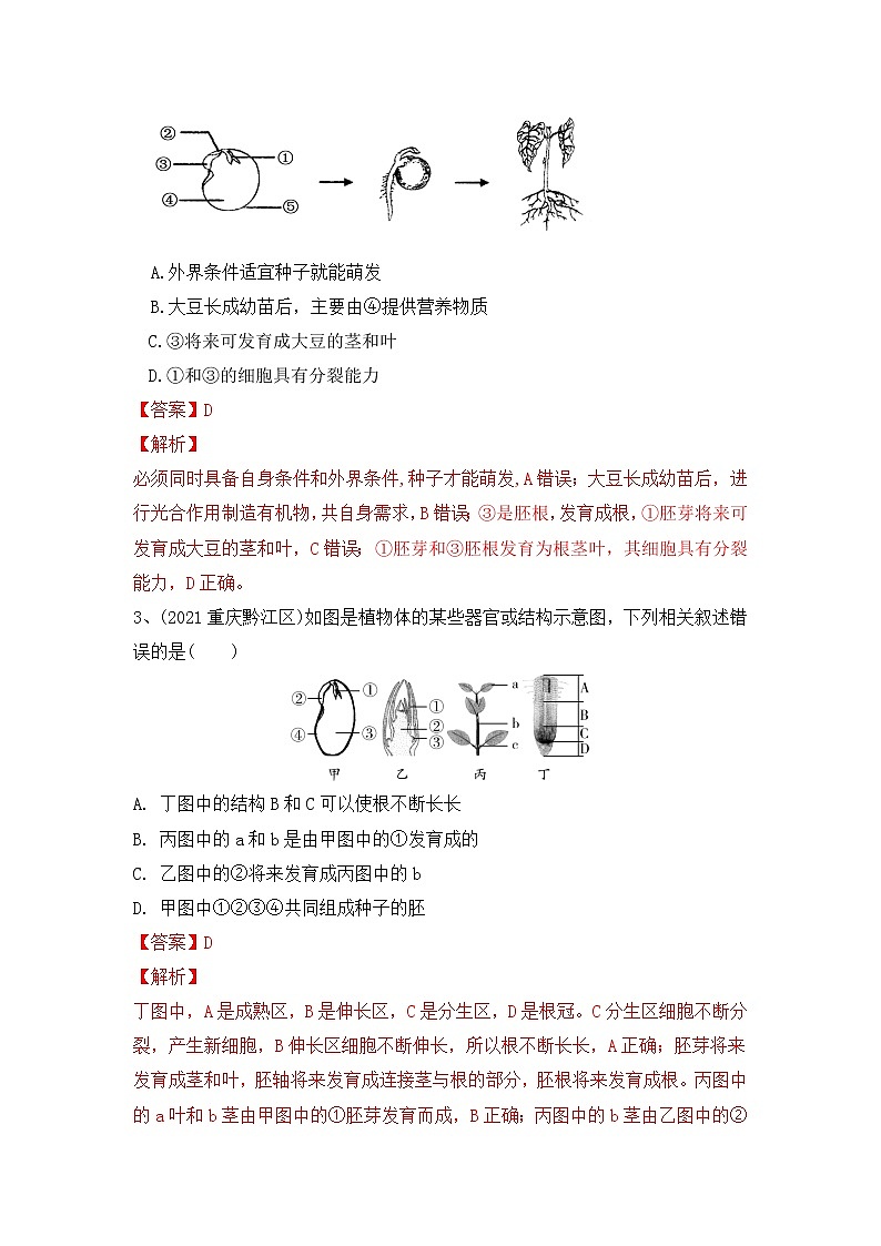 专题05 被子植物的一生（练习）-2022年中考生物一轮复习讲练测（解析版）第2页