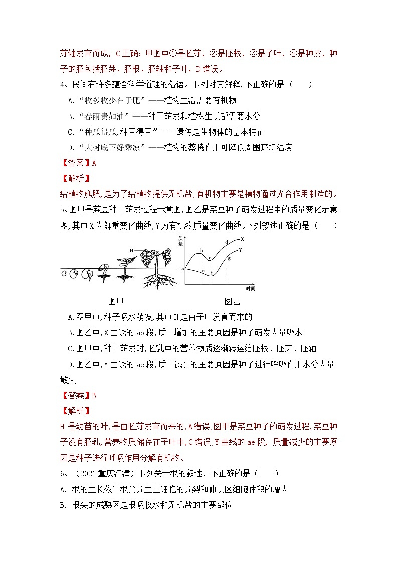 专题05 被子植物的一生（练习）-2022年中考生物一轮复习讲练测（解析版）第3页
