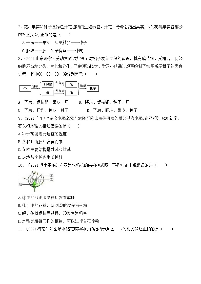 专题05 被子植物的一生（练习）-2022年中考生物一轮复习讲练测（原卷版）第3页