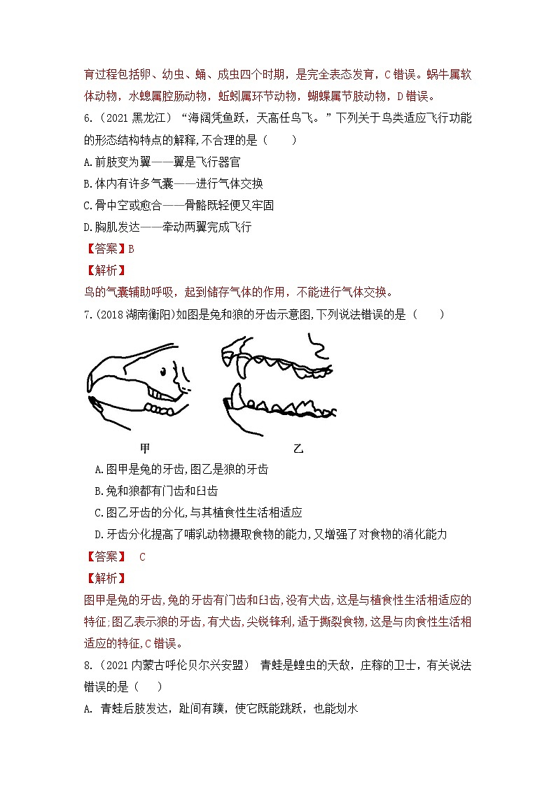 专题15 动物的主要类群（练习）-2022年中考生物一轮复习讲练测（解析版）第3页