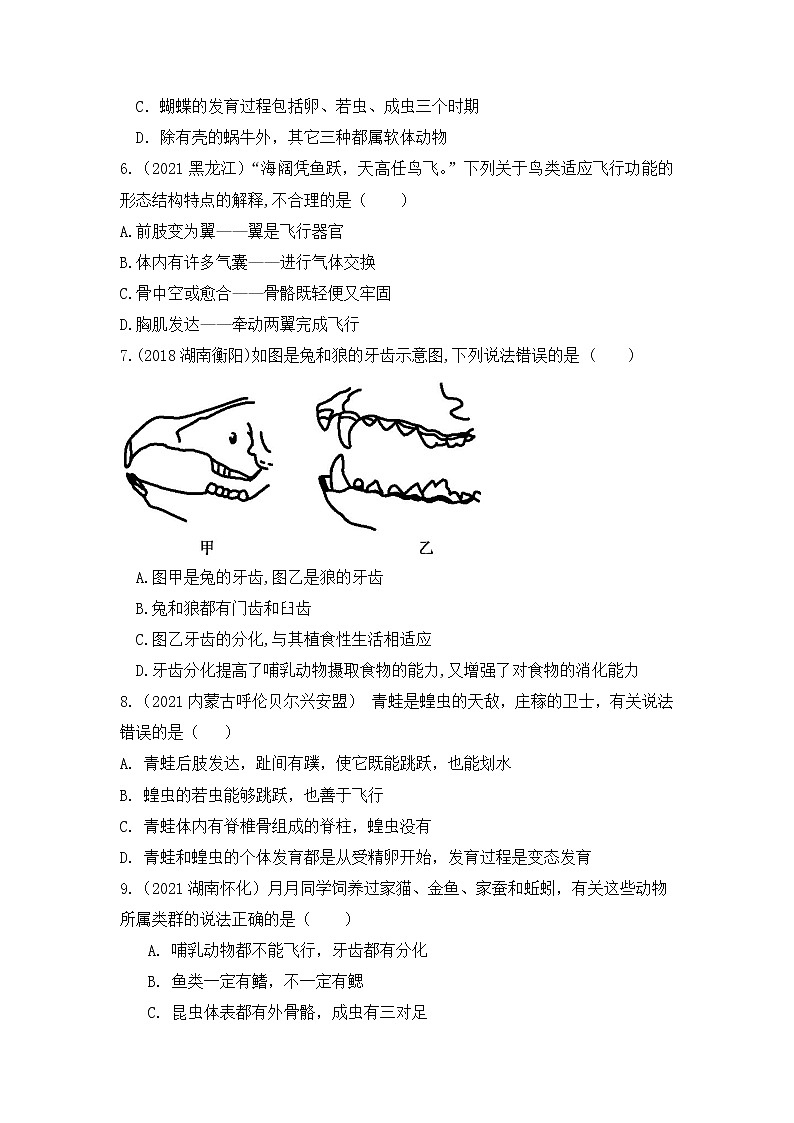 专题15 动物的主要类群（练习）-2022年中考生物一轮复习讲练测（原卷版）第2页