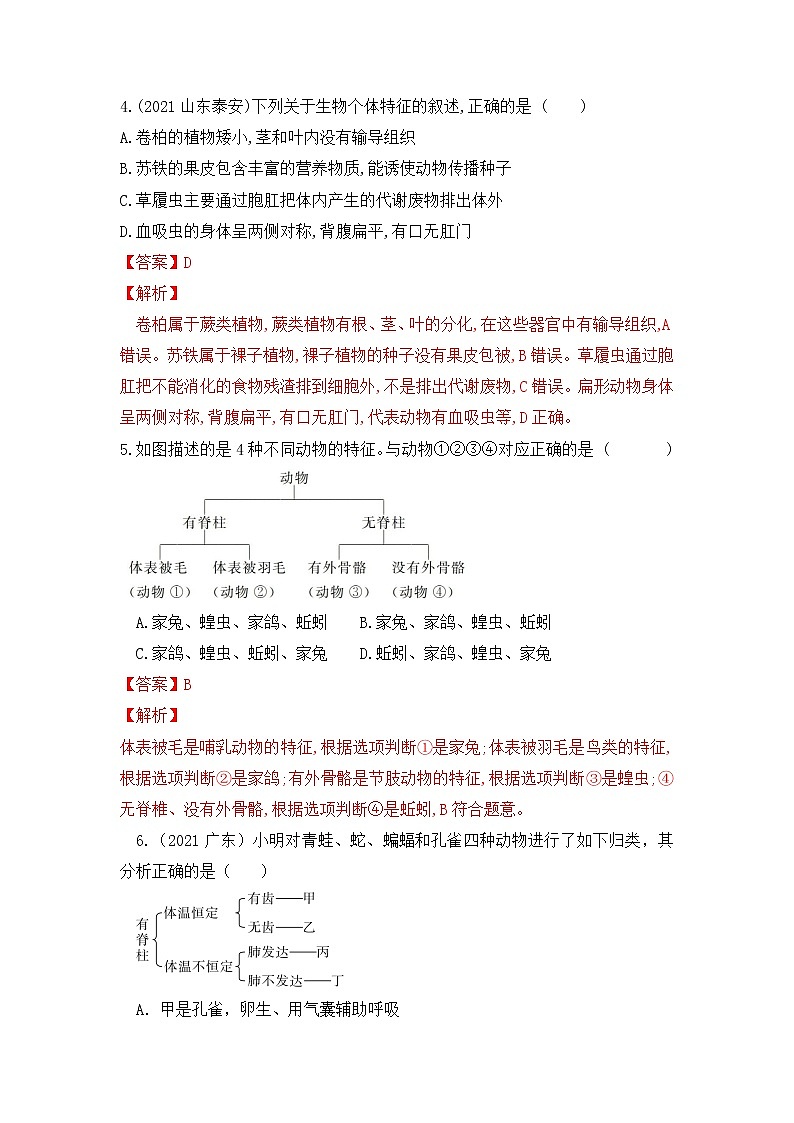 专题18 生物的多样性（练习）-2022年中考生物一轮复习讲练测`02