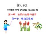 第一节 植物的生殖课件PPT