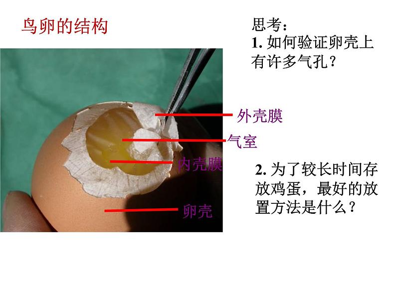 第四节  鸟的生殖和发育课件PPT05