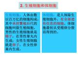 第二节 基因在亲子代间的传递课件PPT