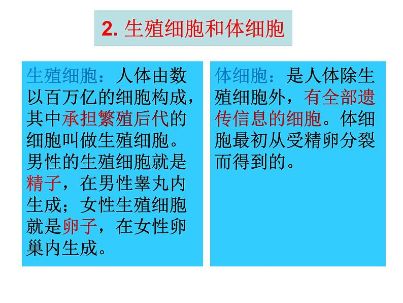 第二节 基因在亲子代间的传递课件PPT第5页