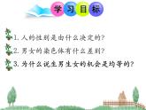 第四节 人的性别遗传课件PPT