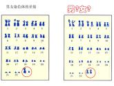 第四节 人的性别遗传课件PPT