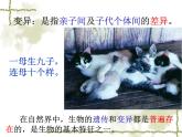 第一节 基因控制生物的性状课件PPT