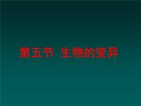 初中生物人教版 (新课标)八年级下册第五节 生物的变异教课内容ppt课件