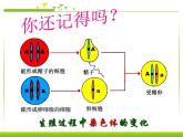 第三节 基因的显性和隐性课件PPT