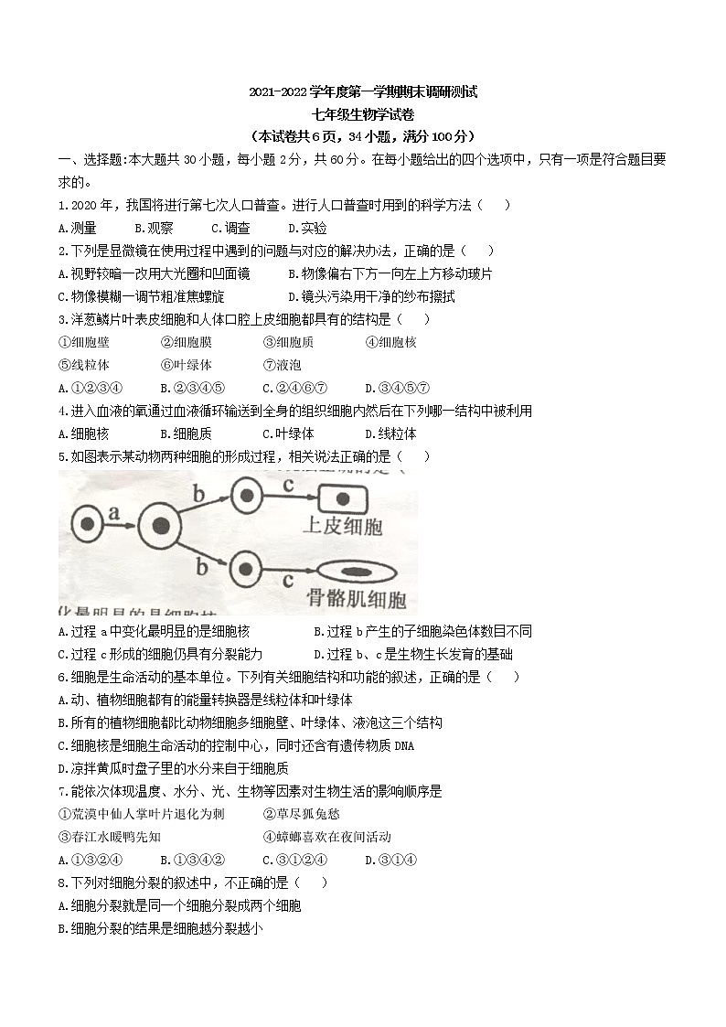 广东省廉江市2021-2022学年七年级上学期期末生物试题（word版 含答案）第1页