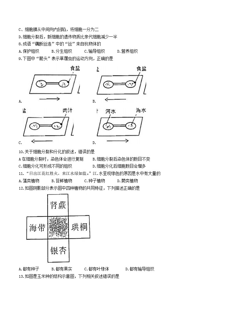 广东省茂名市电白区2021-2022学年七年级上学期期末生物试题（word版 含答案）02