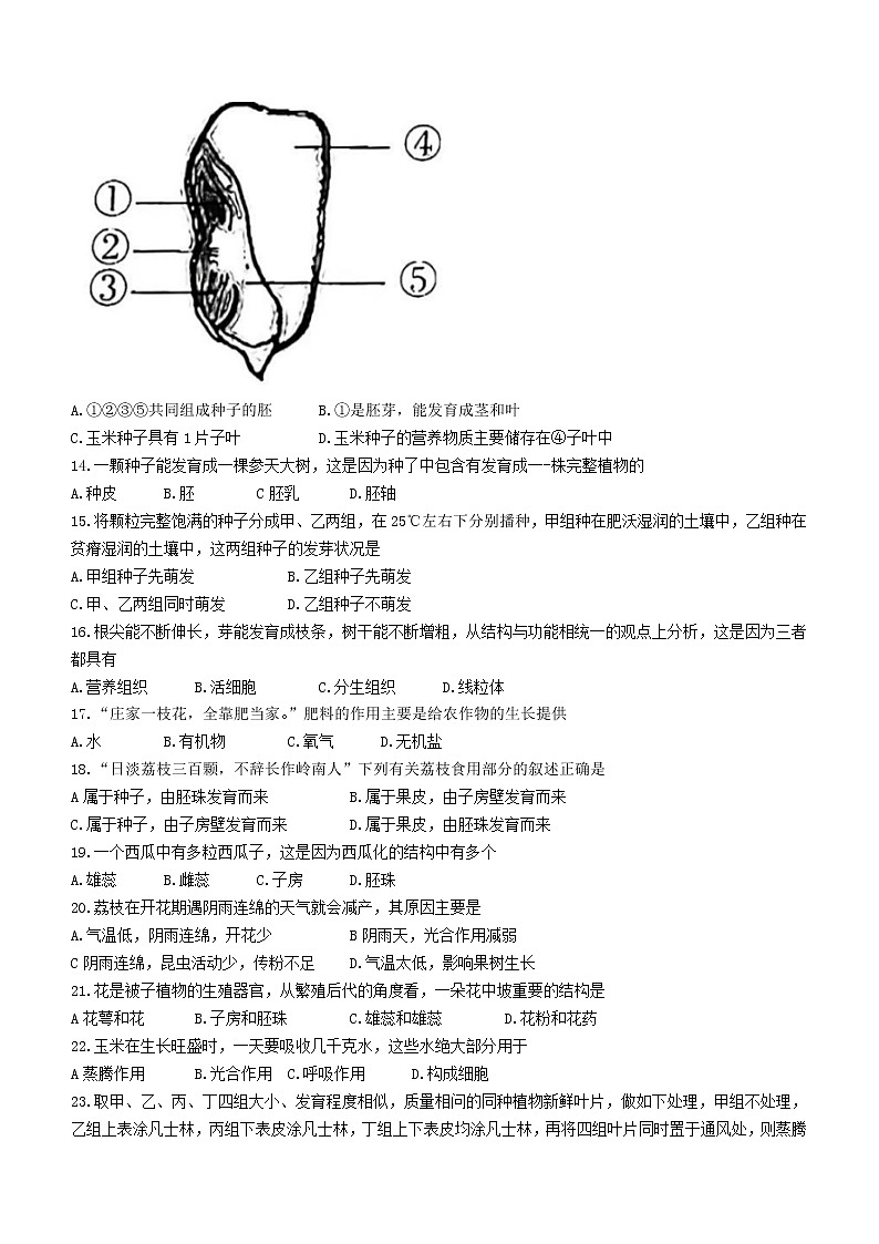 广东省茂名市电白区2021-2022学年七年级上学期期末生物试题（word版 含答案）03