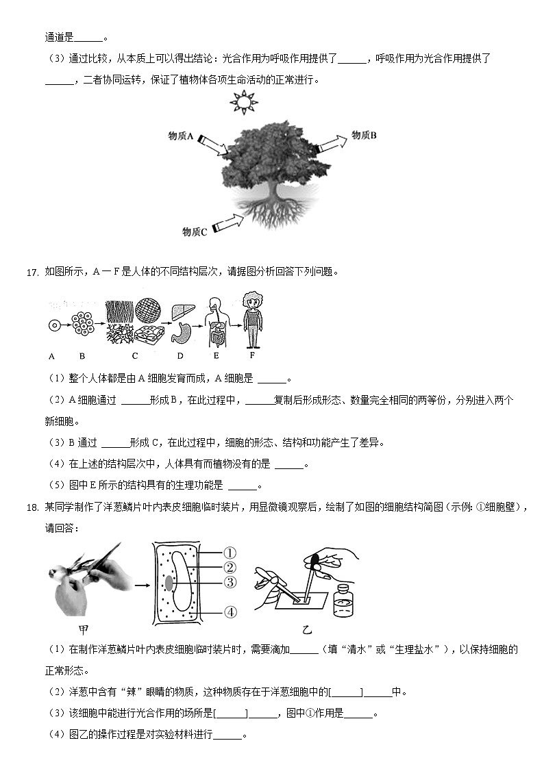 湖北省襄阳市枣阳市2021-2022学年上学期七年级期末生物试卷（word版 含答案）03