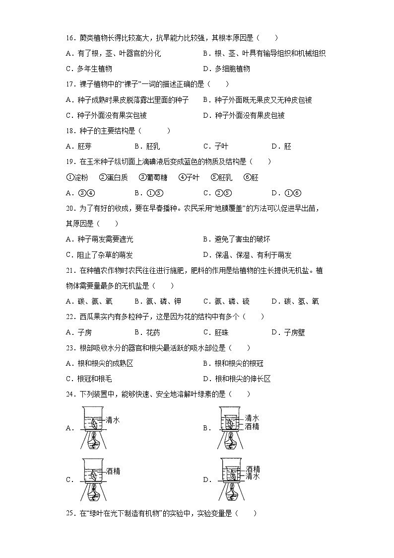 新疆塔城地区乌苏市2021-2022学年七年级上学期期末生物试题（word版 含答案）第3页