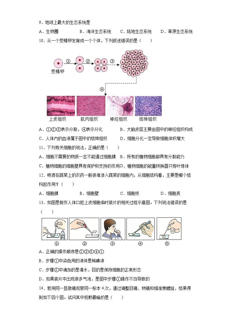 广东省河源市紫金县2021-2022学年七年级上学期期末生物试题（word版 含答案）03