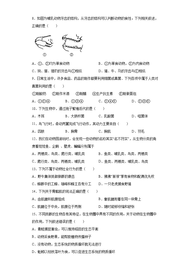 辽宁省盘锦市双台子区2021-2022学年八年级上学期期末生物试题（word版 含答案）第2页