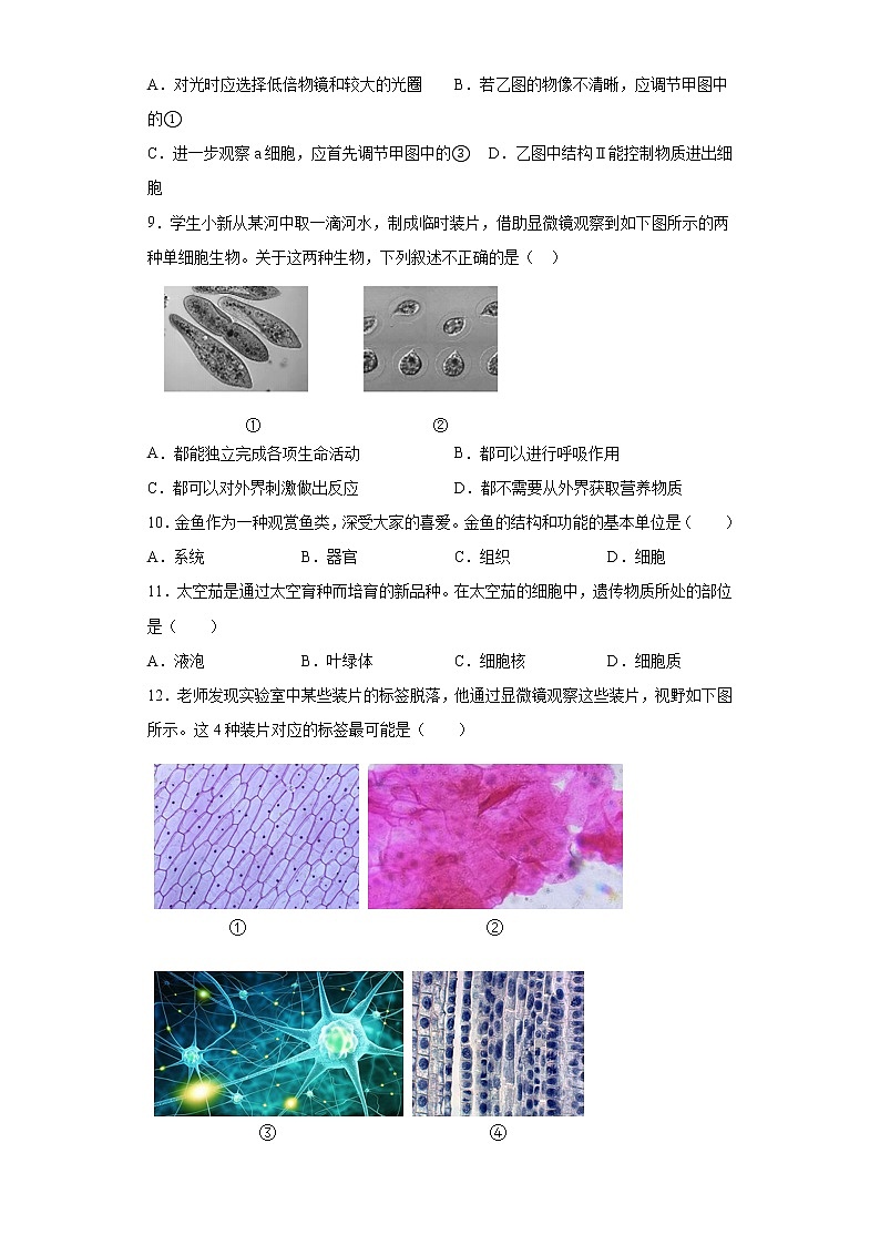广东省汕尾市2021-2022学年七年级上学期期末生物试题（word版 含答案）03