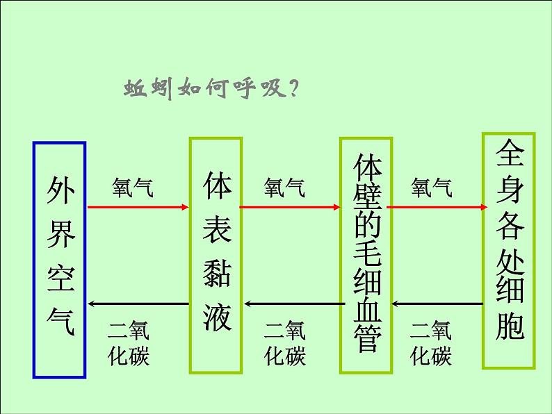 八年级上册生物总复习课件08