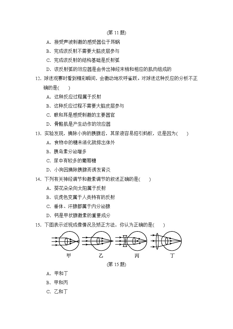 人教版七年级下册生物 第四单元第六、七章达标测试卷03