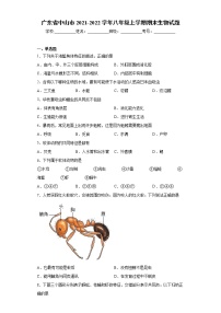 广东省中山市2021-2022学年八年级上学期期末生物试题（word版 含答案）